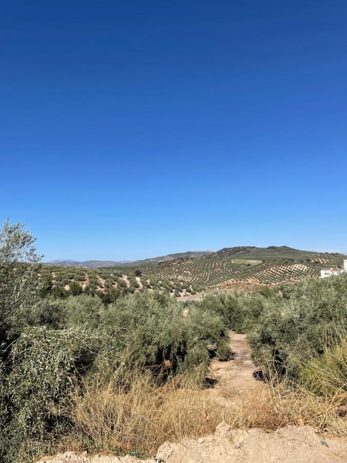 Lafrenchtouch - Relajate Y Desconecta Al Pueblo Villa Villanueva de Tapia Eksteriør bilde